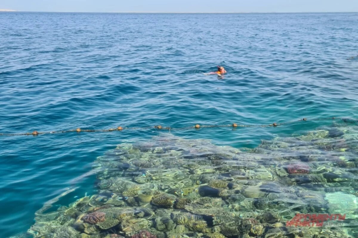    Юрист Георгиев: за испорченный отдых в Хургаде ответит туроператор
