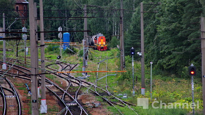 Фото: Анастасия Илюшина\47channel