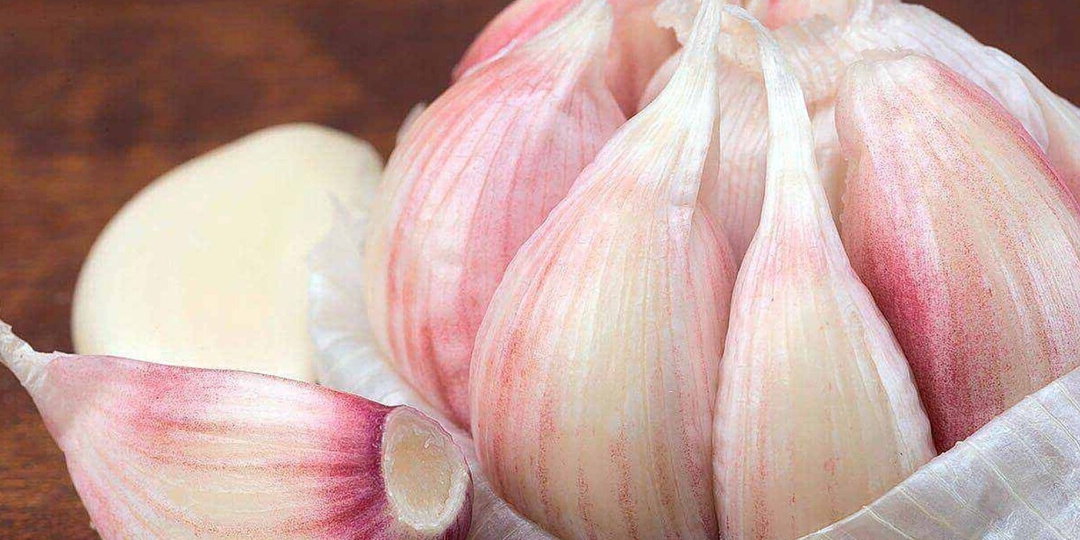 Выращиваю крупный чеснок без химии по методу 92-летней соседки. 3 простых приема увеличат головки в 2 раза