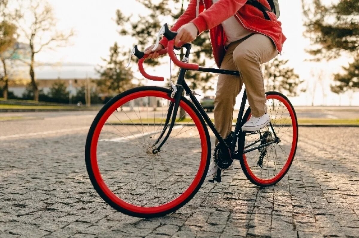    В Омске готовят велопробег Tour De Siberia - 2025