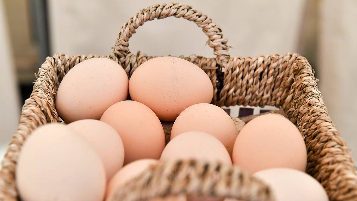    Фото: Сергей Киселев / АГН Москва