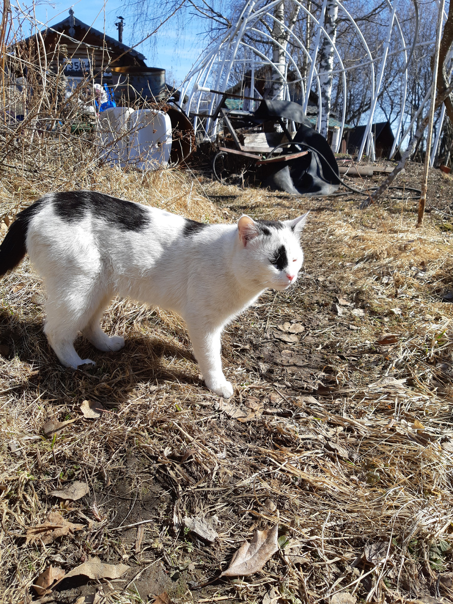 Чё вы меня притащили? Сплю стоя теперь.