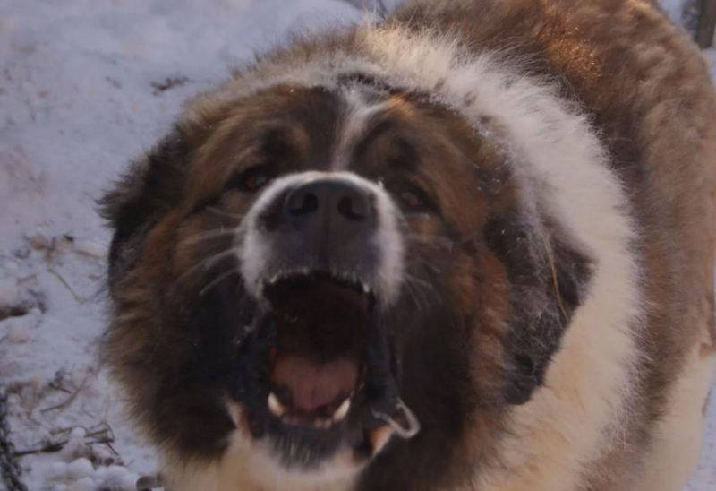 Фото носит иллюстративный характер