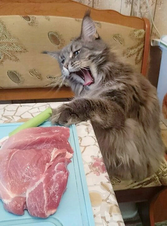 А в мыслях мясо...