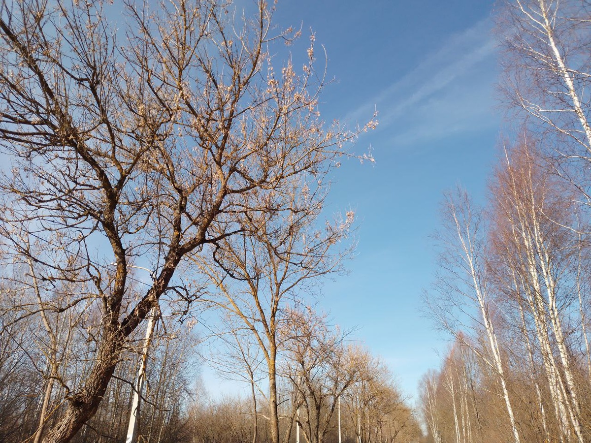 Пробуждение, фото автора