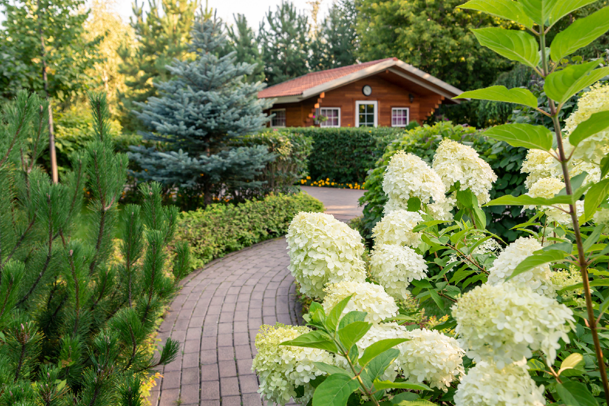 Designed by Freepik. Источник: www.freepik.com
