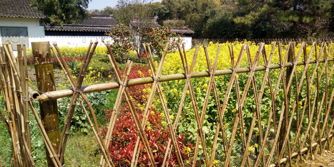 Больше 50 идей, как сделать дачный участок стильным и красивым без дизайнера и больших трат