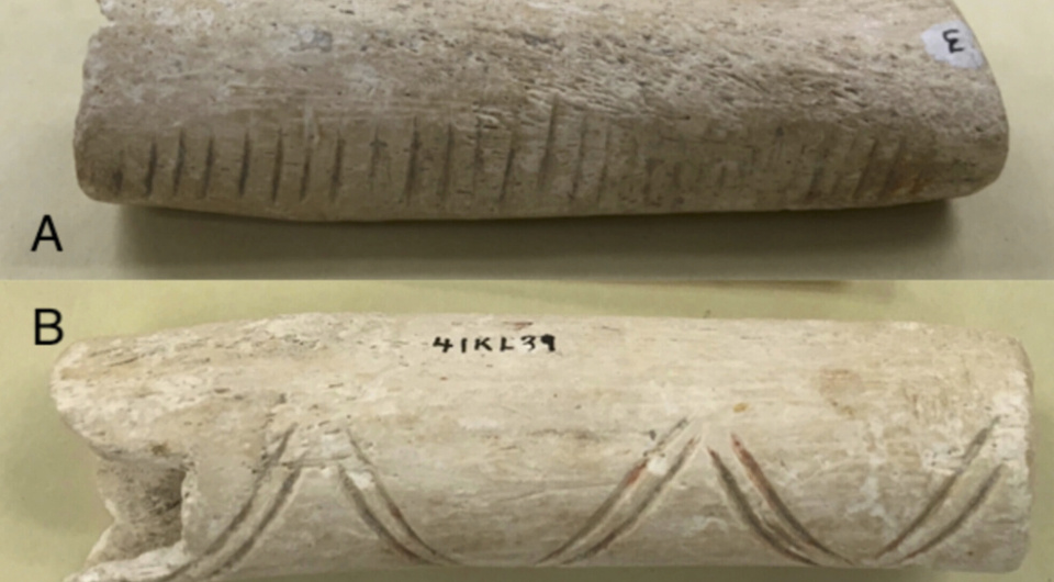   Matthew Taylor / International Journal of Osteoarchaeology, 2025