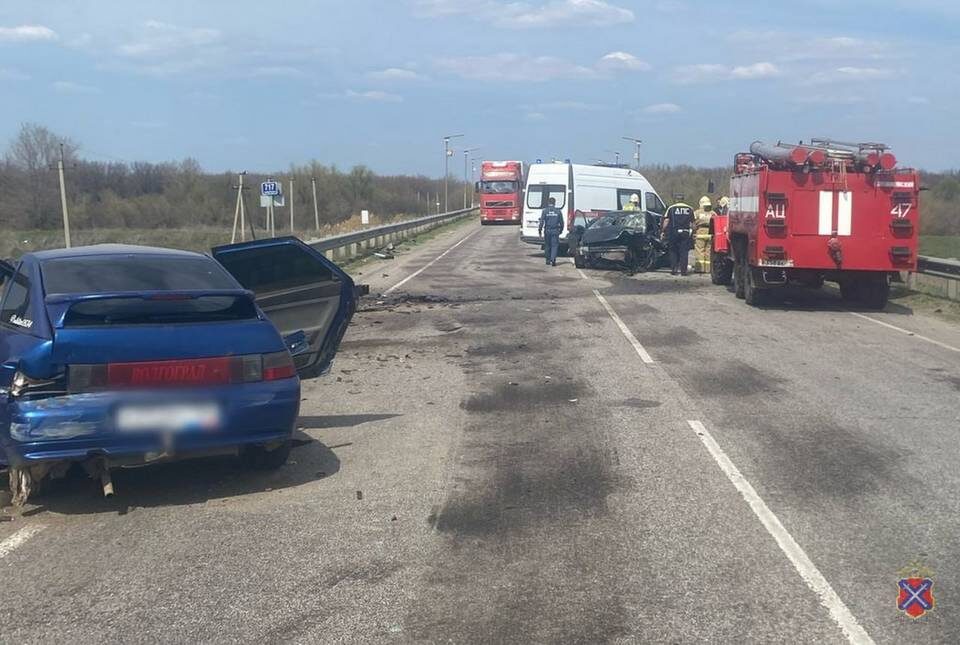    Фото: ГУ МВД России по Волгоградской области