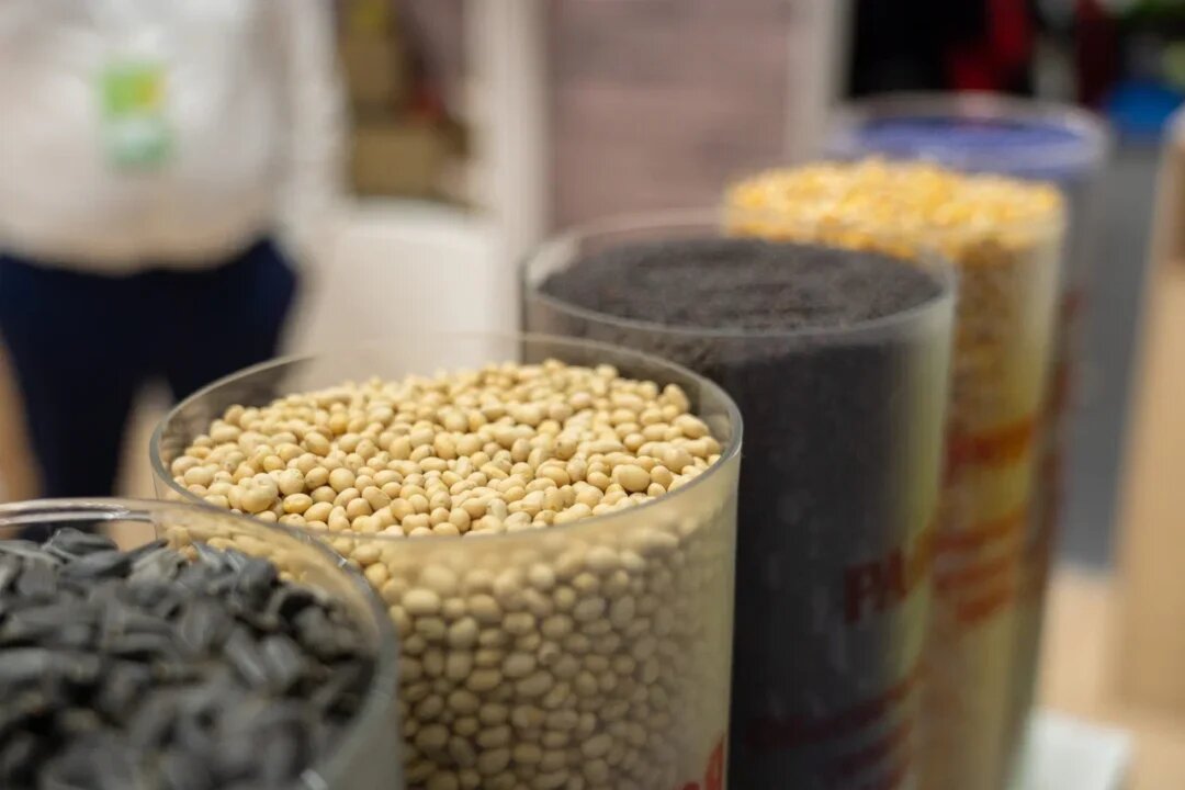 Фото: Александр Плонский / «Агроэксперт»