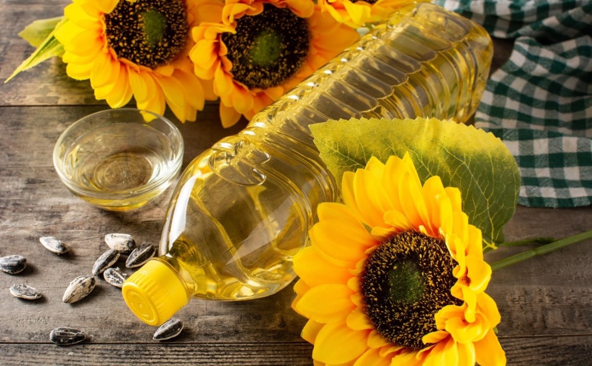 Фото: ru.freepik.com