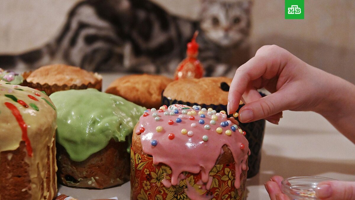    Фото: РИА Новости © 2025, Владимир Федоренко