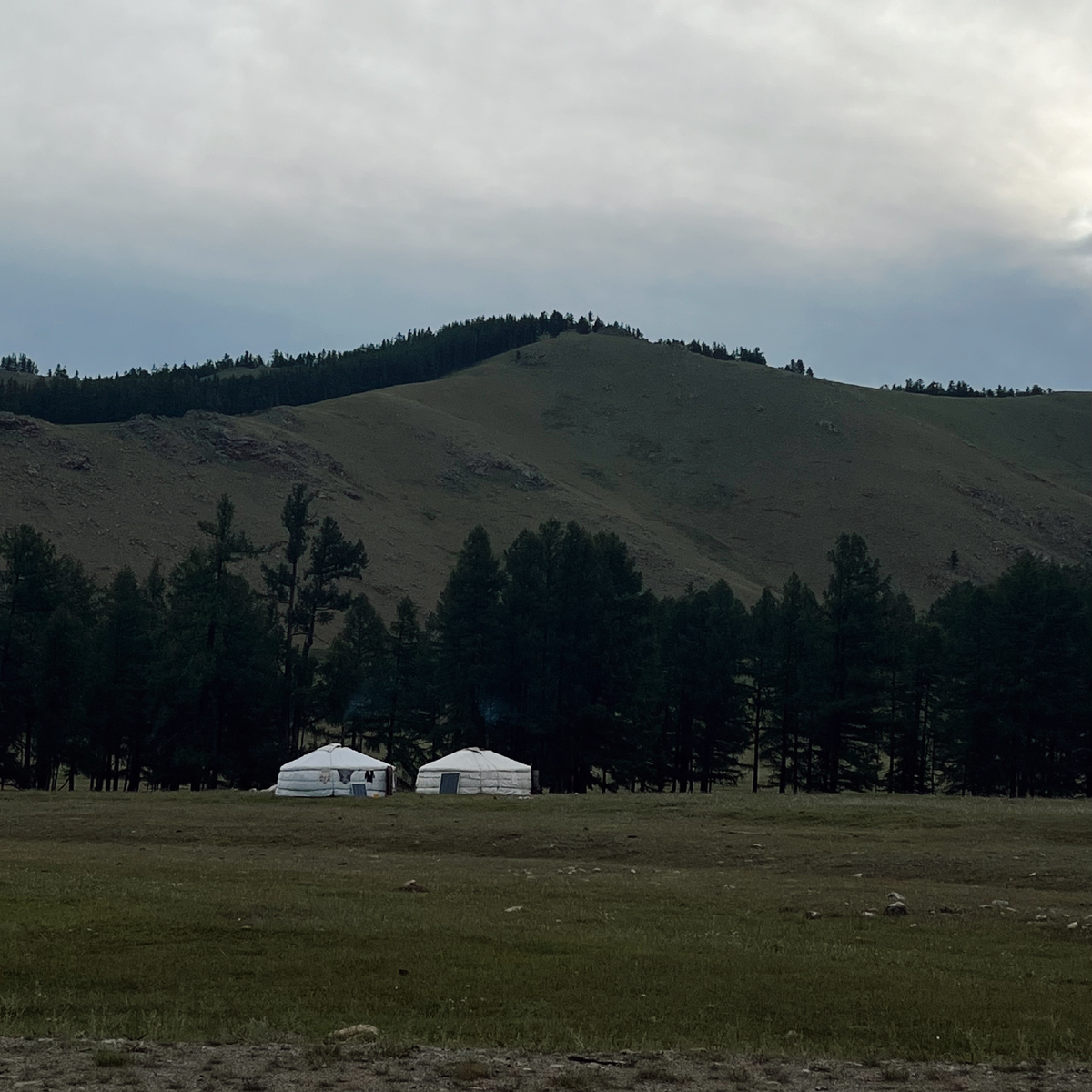 Наши соседи