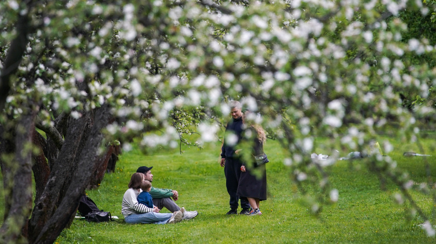    Фото: ИЗВЕСТИЯ/Сергей Лантюхов