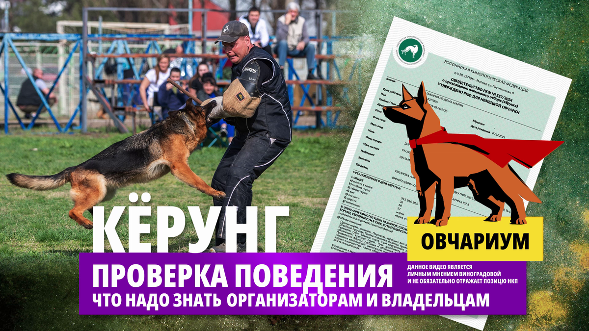 Создано при поддержке питомника «Баларис».