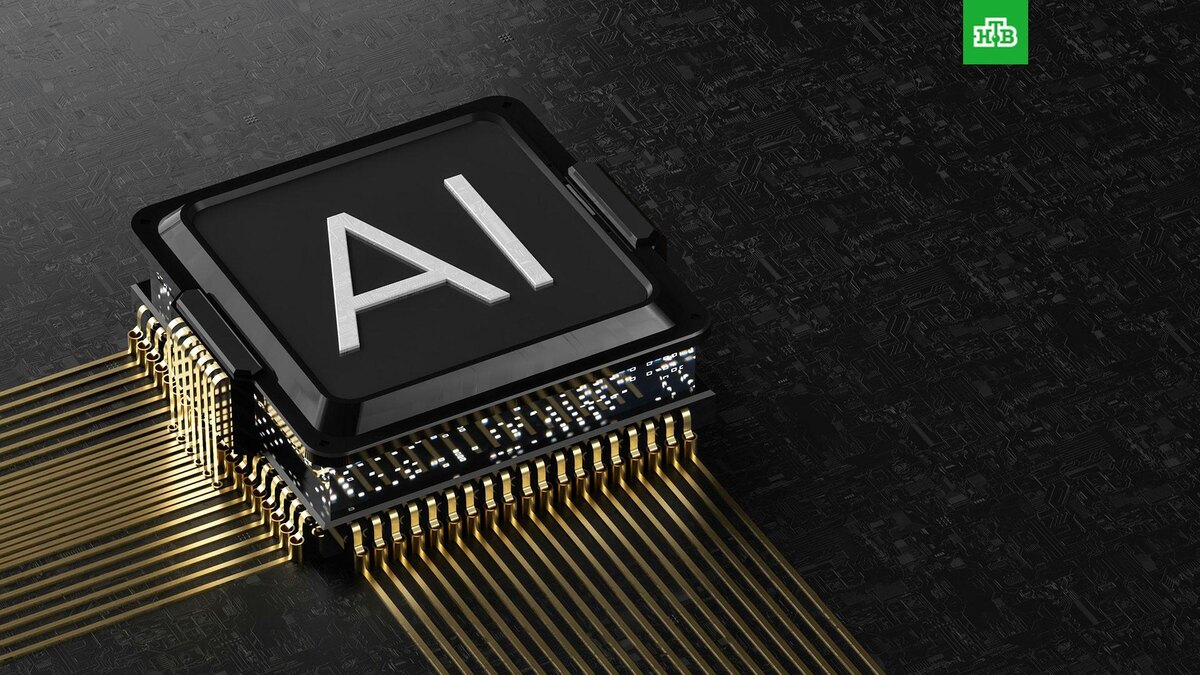    Фото: Igor Omilaev / unsplash.com