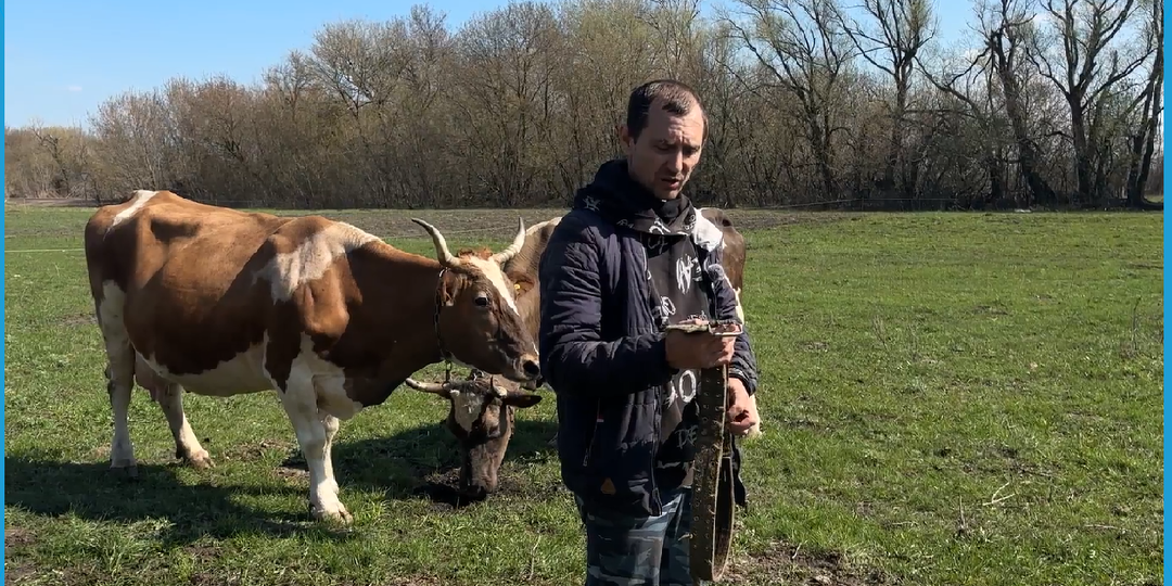 ВСЁ ТАКИ ПРОДАЛИ КОРОВУ И НА ЭТОМ НЕ ОСТАНОВИМСЯ, ДЕРЕВЕНСКАЯ ЖИЗНЬ В КУРСКОЙ ДЕРЕВНЕ