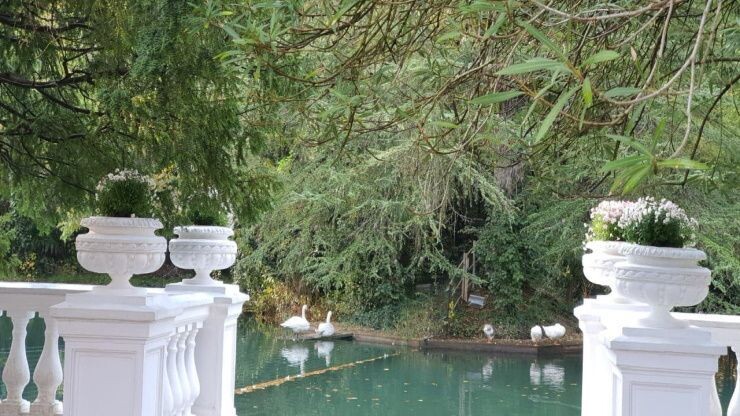    Фото t.me/park_uzk