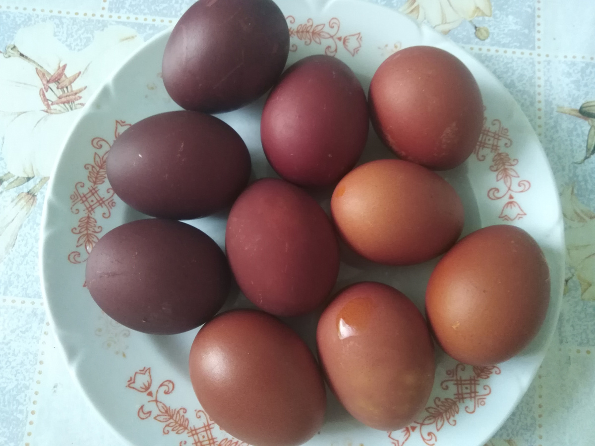 Яйца, покрашенные в луковой шелухе