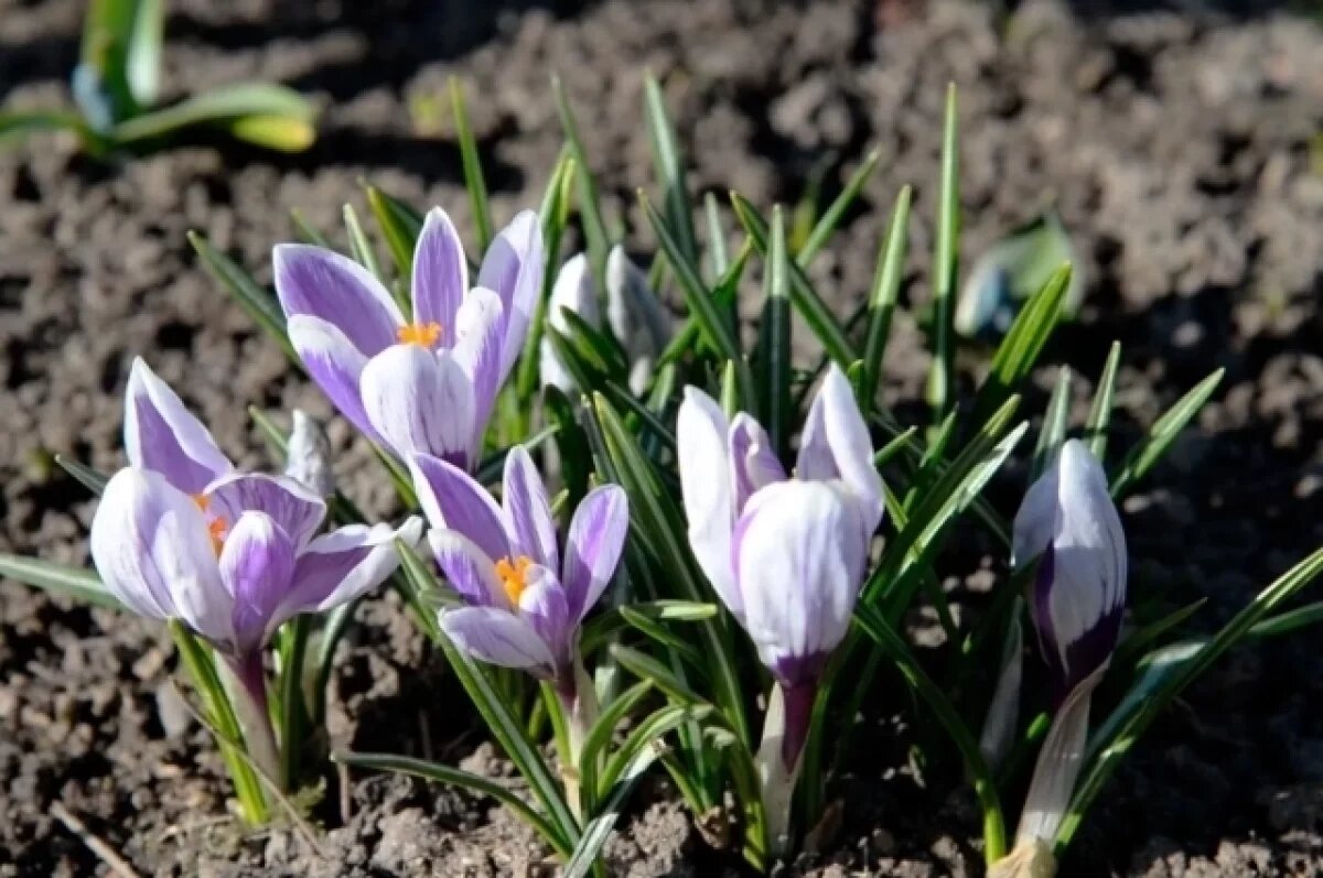    В Калуге установлен новый температурный рекорд