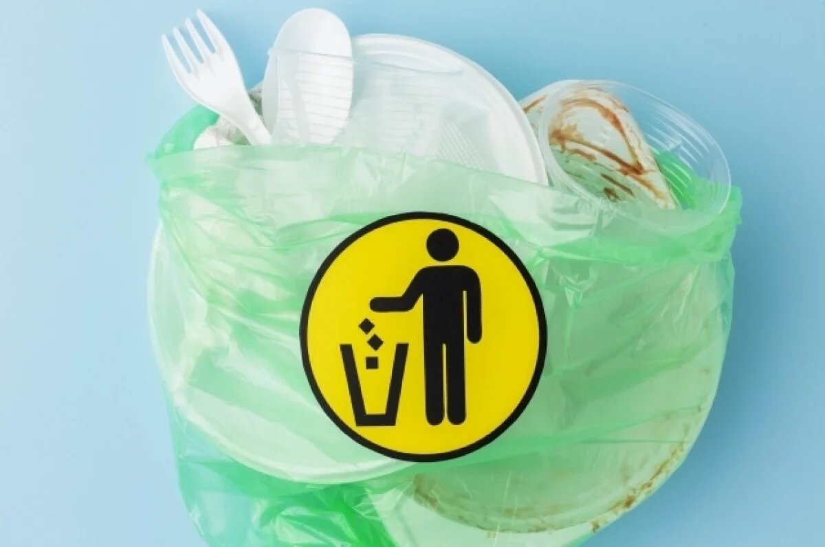    В Ярославской области будет два завода для переработки мусора