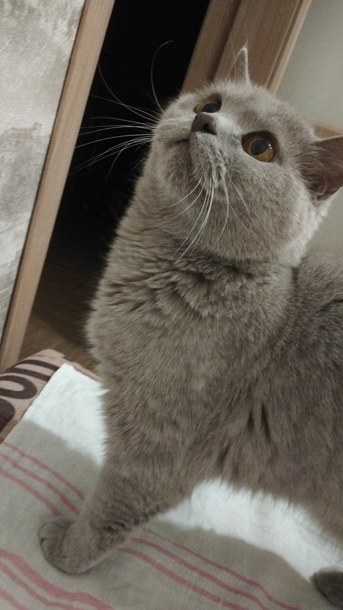 Фото за несколько дней до) 