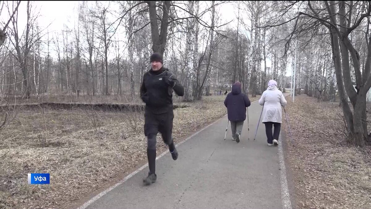    "Вести" узнали, каким будет новый лесопарк в уфимской Деме