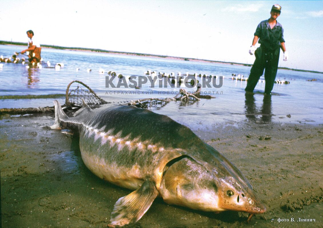 Фото: из архива В.Лоянича