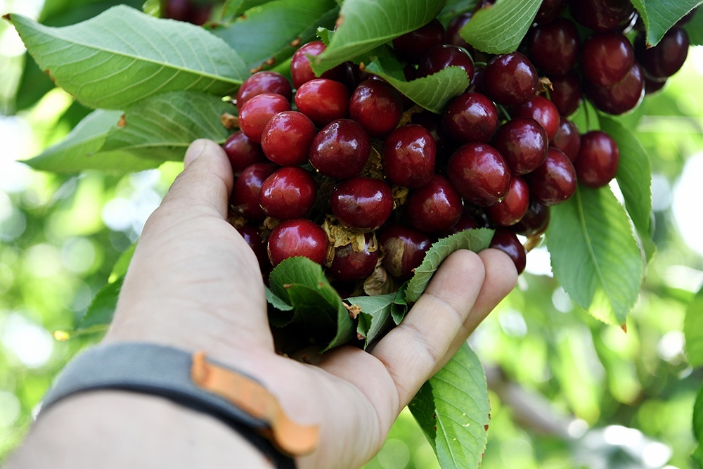    Константин Михальчевский/ РИА Новости