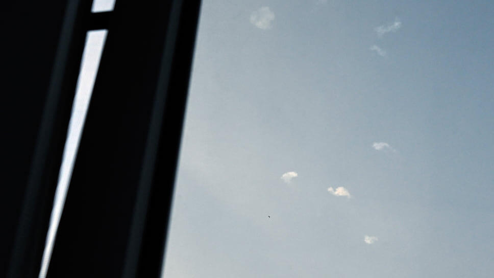 Фото: Анатолий Жданов / Коммерсантъ