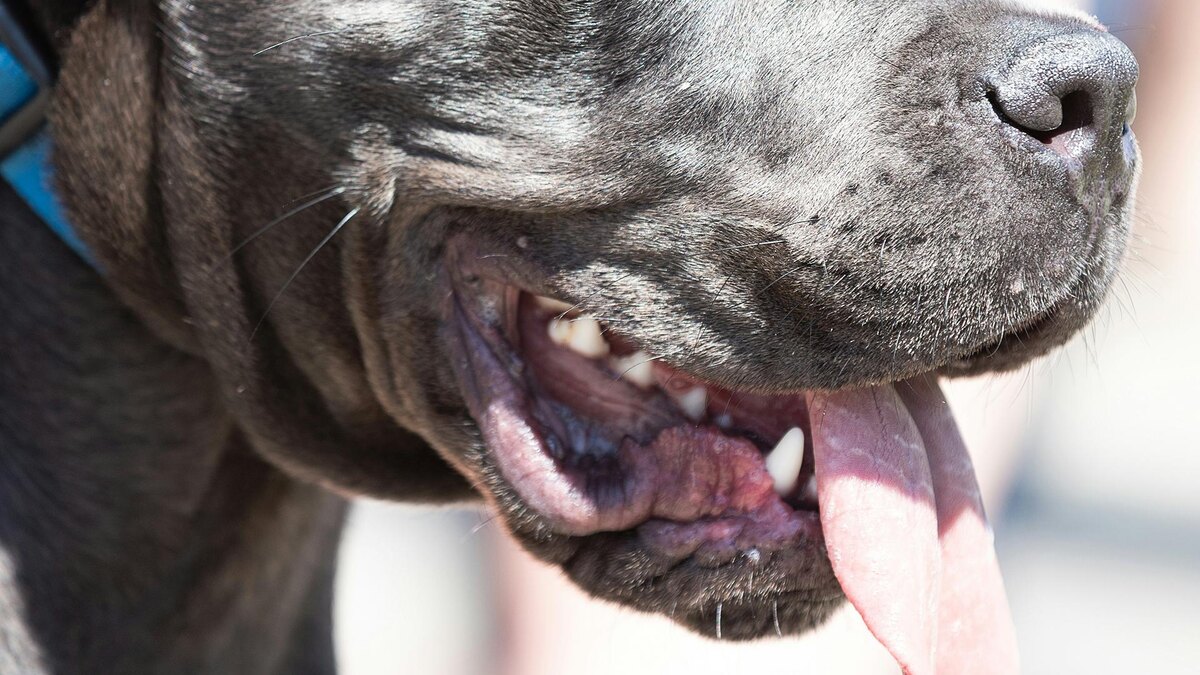    Фото: unsplash.com