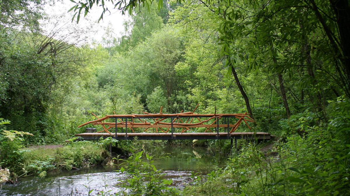    © Алиса Окулова