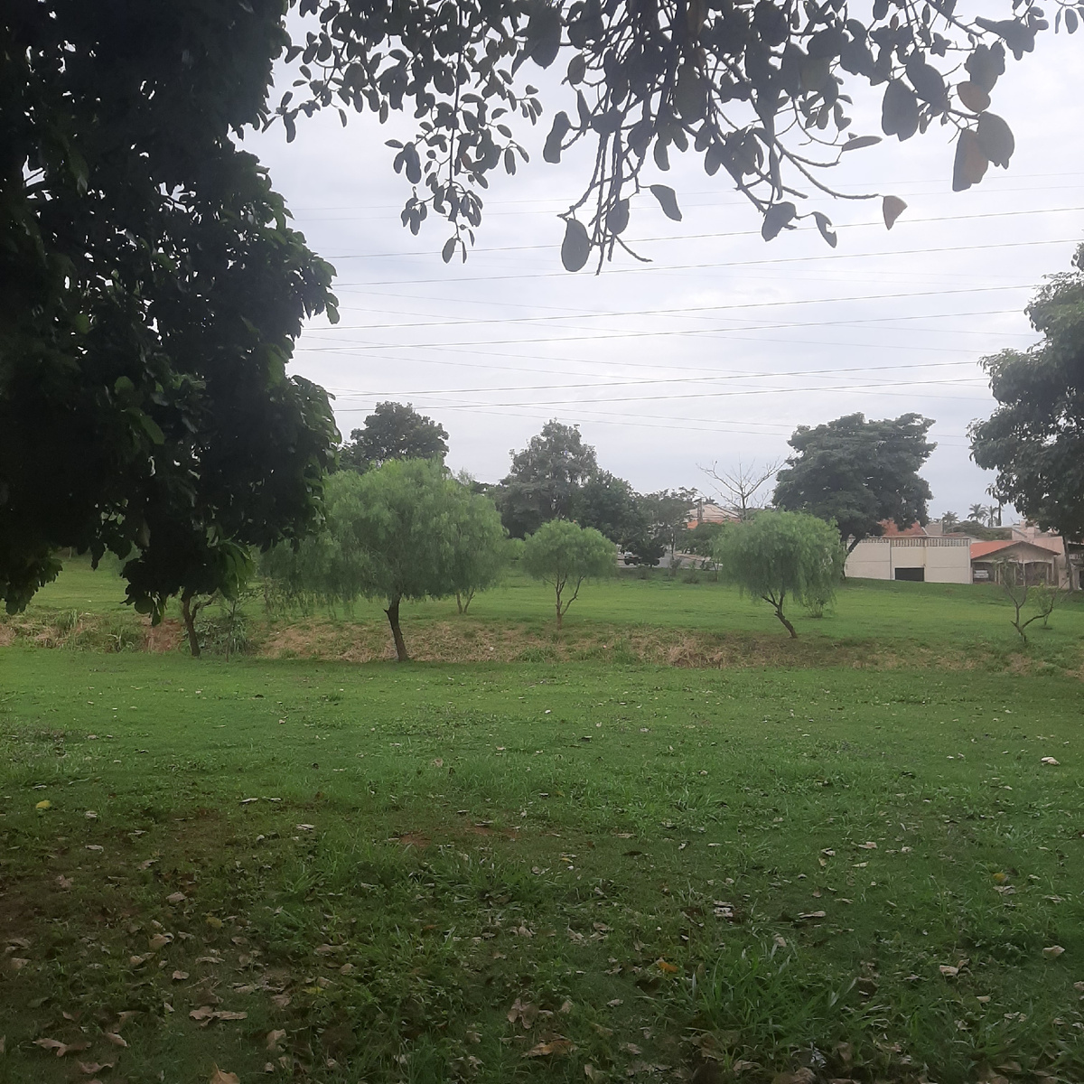 Вилла Падре Анчиета. (город Кампинас)