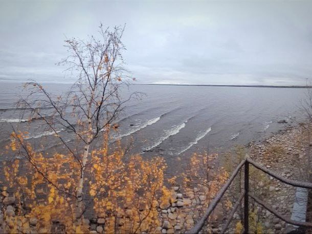 Подписывайтесь в Телеграме на мой канал "Хариус на полметра"