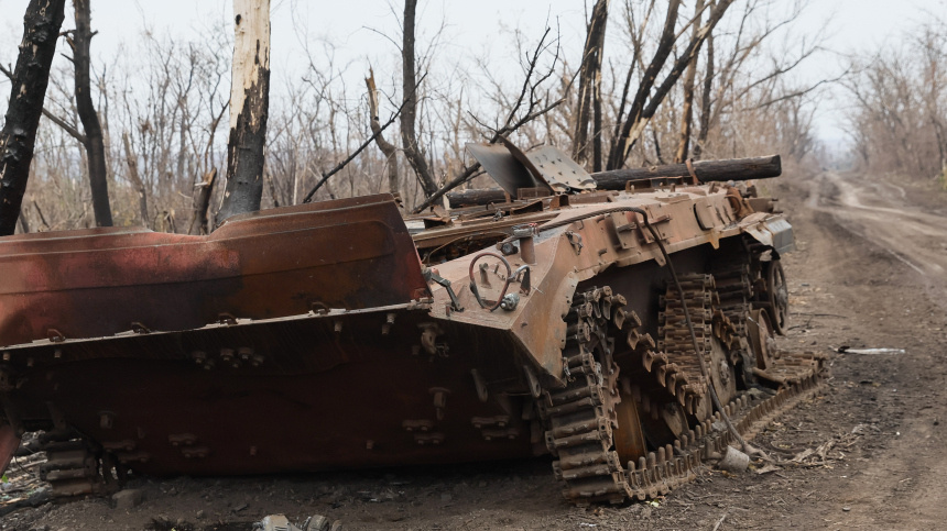    Фото: Дмитрий Ягодкин/ТАСС