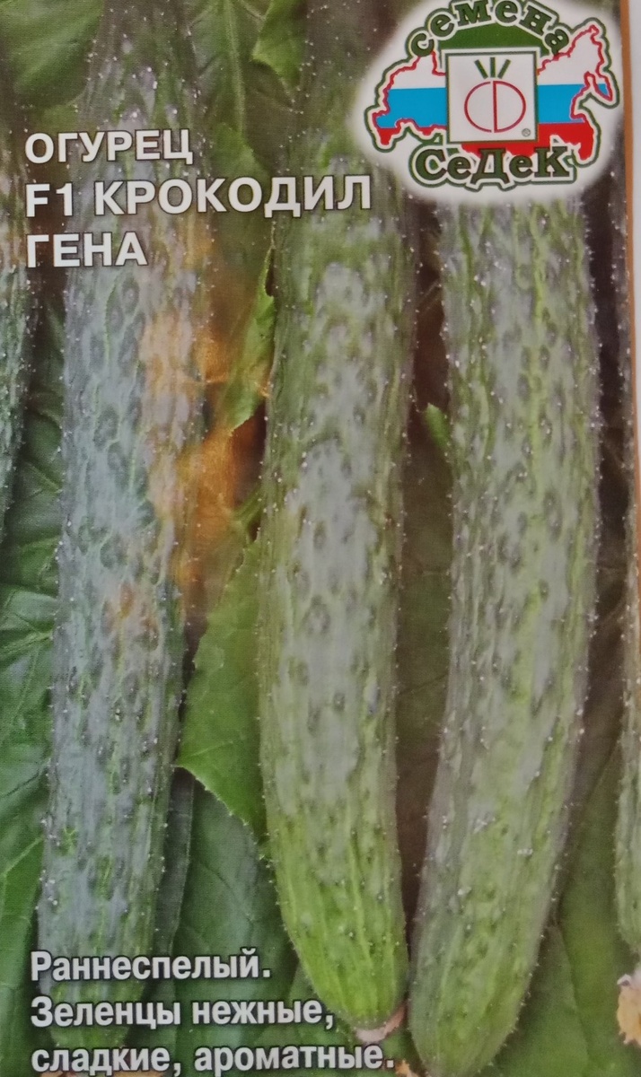 будущий огурчик