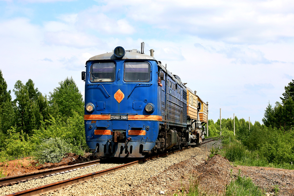 Какой же он красивый.