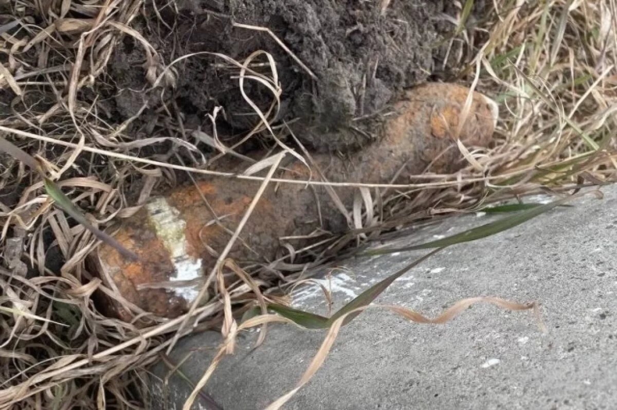    В Тюменской области уничтожили снаряд времен Гражданской войны