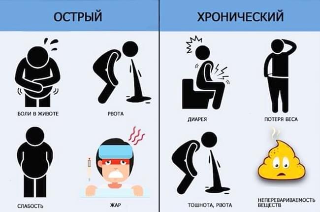 Спокойствие для поджелудочной: лучшая диета при панкреатите – питание для восстановления и ремиссии