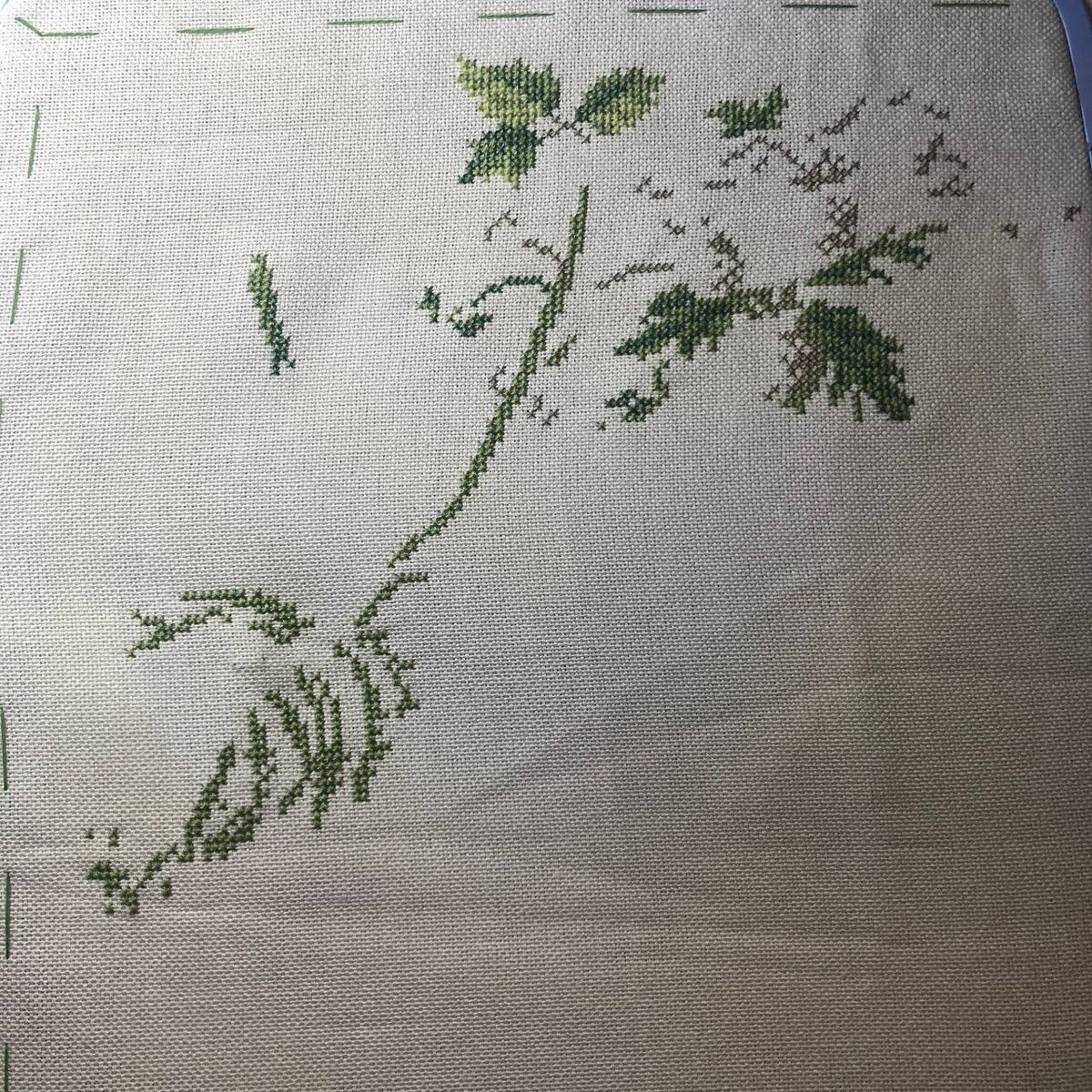 Первые "малиновые" крестики