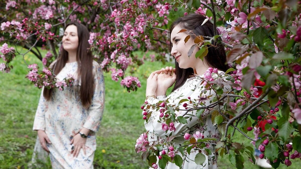     Источник: mkset.ru