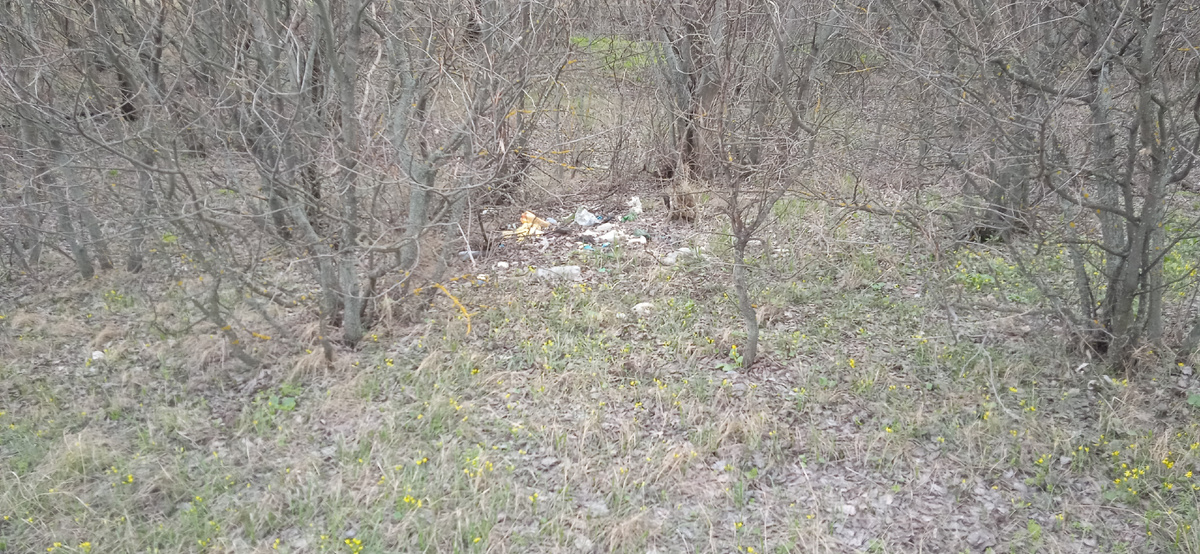 Среди цветов,цветут и фантики.