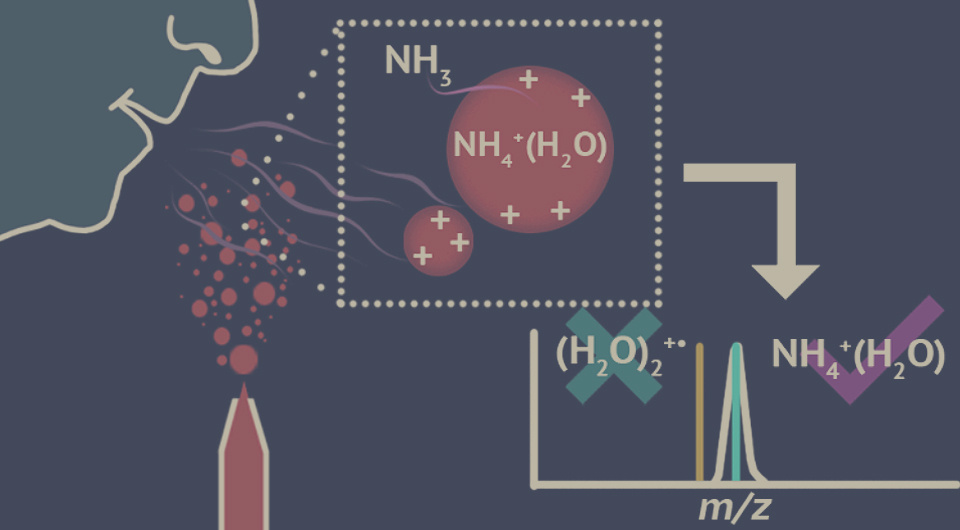   N + 1; Casey J. Chen & Evan R. Williams / ACS Central Science, 2025