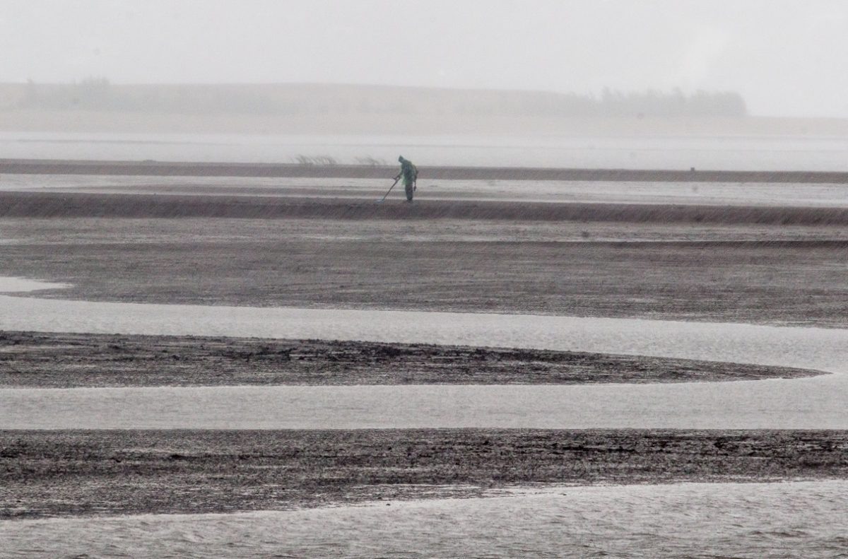   В некоторых местах уже обнажилось речное дно