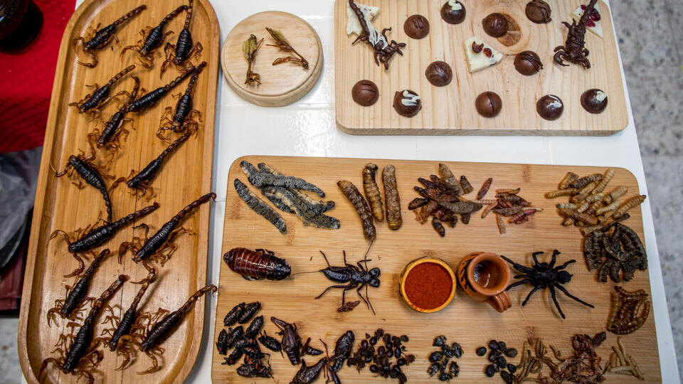 Фото: © www.globallookpress.com/Jair Cabrera/dpa