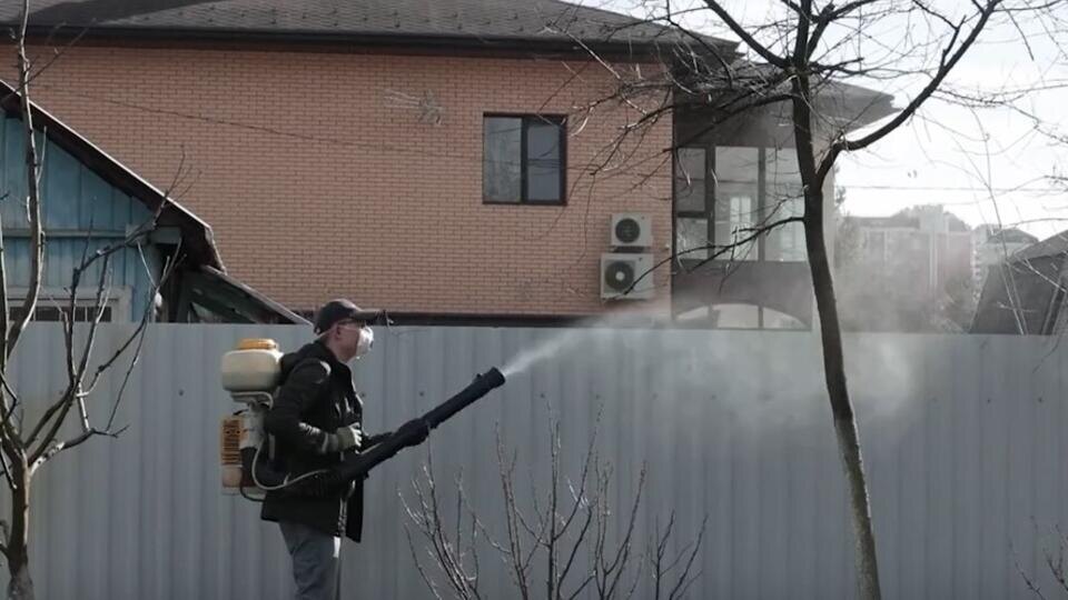 Фото: © Кадр из программы "Купи-продай", РЕН ТВ