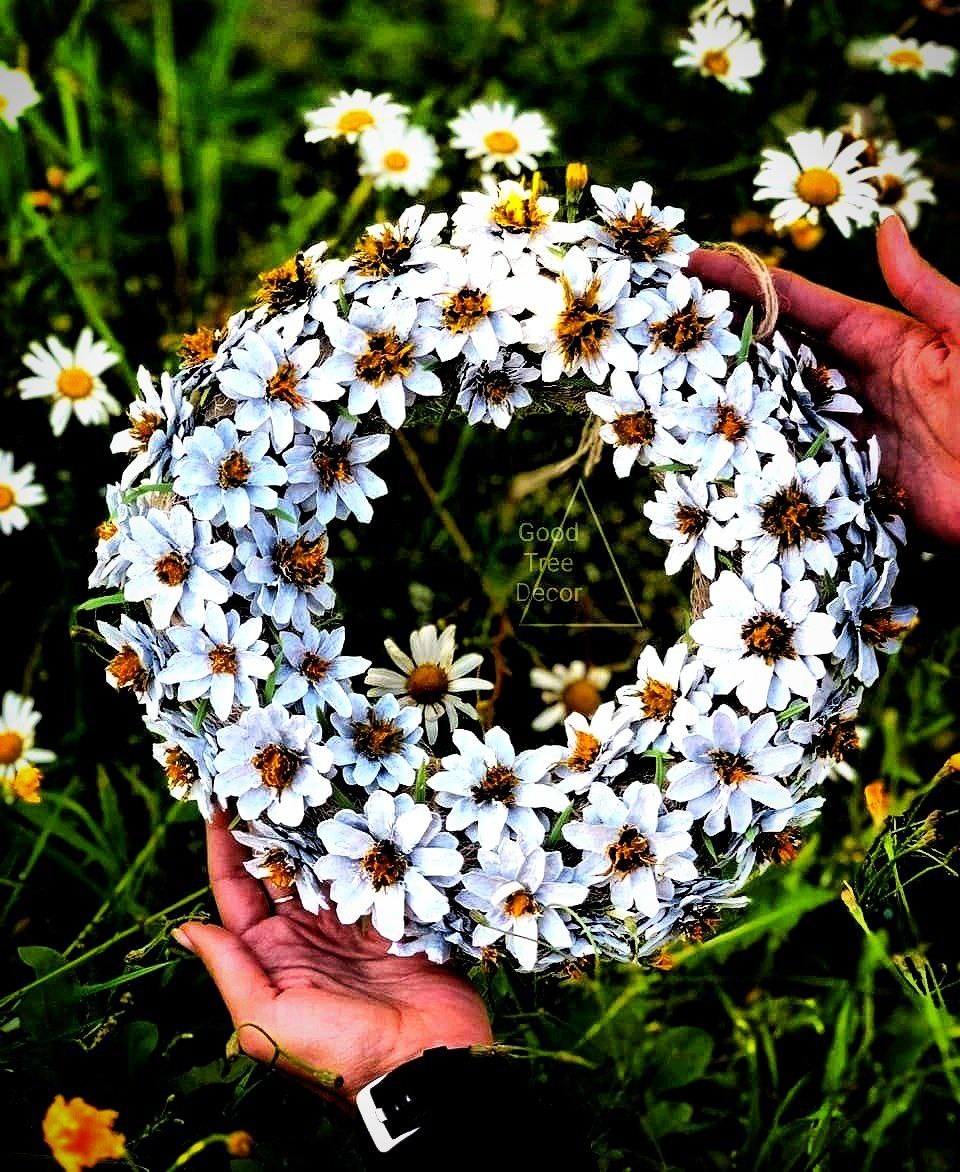 Фото с просторов всемирной паутины.