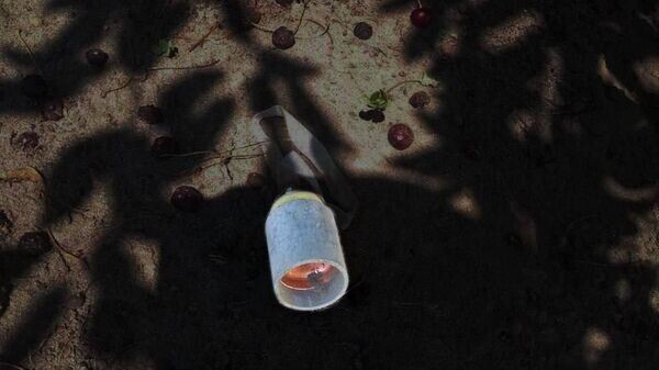    © Соцсети губернатора Белгородской области Вячеслава Гладкова