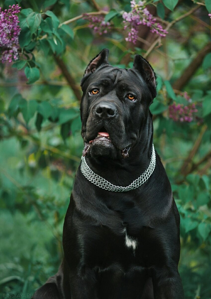 Источник https://vk.com/photo586223197_457239019