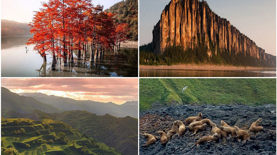     Источник здесь и далее: pinterest.com